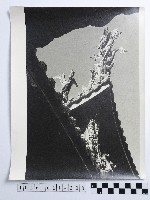 黃則修攝屋簷的龍飾藏品圖，第1張