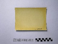 黃則修攝樹木與房子藏品圖，第2張