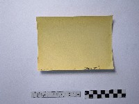 黃則修攝傳統家屋側面藏品圖，第2張