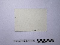 黃則修攝日光藏品圖，第2張