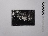 黃則修攝街景藏品圖，第1張