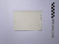 黃則修攝街景藏品圖，第2張