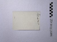 黃則修攝街景藏品圖，第2張