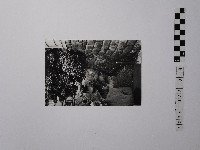 黃則修攝一路向下的小徑藏品圖，第1張