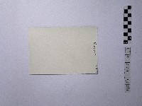 黃則修攝一路向下的小徑藏品圖，第2張