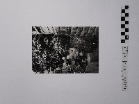 黃則修攝一路向下的小徑藏品圖，第1張