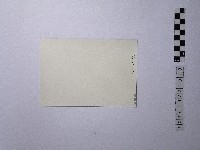 黃則修攝一路向下的小徑藏品圖，第2張