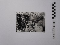 黃則修攝一路向下的小徑藏品圖，第1張