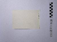 黃則修攝一路向下的小徑藏品圖，第2張