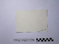 黃則修攝婦女藏品圖，第2張