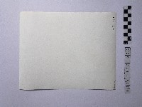 黃則修攝楓葉藏品圖，第2張