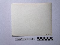 黃則修攝羊藏品圖，第2張