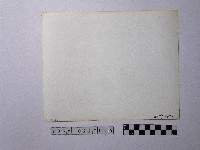 黃則修攝牛車與家屋藏品圖，第2張