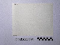 黃則修攝天空藏品圖，第2張