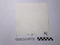 黃則修攝吊橋藏品圖，第2張