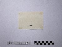 黃則修攝野柳地景藏品圖，第2張