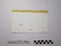 黃則修攝野柳地景藏品圖，第2張