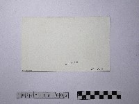 黃則修攝野柳地景藏品圖，第2張