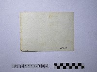 黃則修攝野柳地景燭臺石藏品圖，第2張