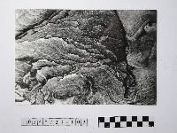 黃則修攝野柳地景風化紋藏品圖，第1張