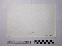 黃則修攝野柳地景風化紋藏品圖，第2張