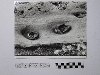 黃則修攝野柳地景藏品圖，第1張