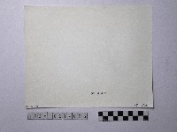 黃則修攝野柳地景藏品圖，第2張