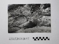 黃則修攝野柳地景藏品圖，第1張