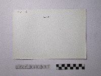 黃則修攝野柳地景藏品圖，第2張