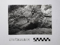 黃則修攝野柳地景藏品圖，第1張