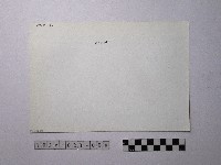 黃則修攝野柳地景藏品圖，第2張