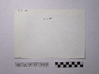 黃則修攝野柳地景藏品圖，第2張