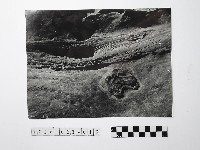 黃則修攝野柳地景藏品圖，第1張