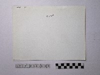 黃則修攝野柳地景藏品圖，第2張