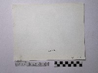 黃則修攝野柳地景藏品圖，第2張