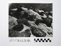 黃則修攝野柳地景藏品圖，第1張