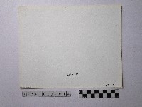 黃則修攝野柳地景藏品圖，第2張