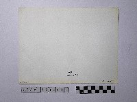 黃則修攝野柳地景藏品圖，第2張