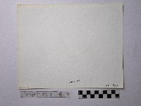 黃則修攝野柳地景藏品圖，第2張