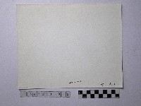 黃則修攝野柳地景藏品圖，第2張