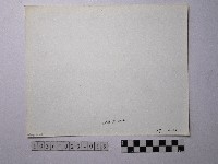 黃則修攝野柳地景藏品圖，第2張