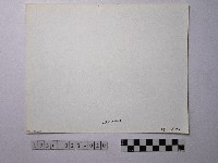 黃則修攝野柳地景藏品圖，第2張