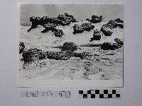 黃則修攝野柳地景藏品圖，第1張