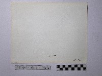 黃則修攝野柳地景藏品圖，第2張