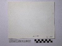 黃則修攝野柳地景藏品圖，第2張