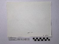 黃則修攝野柳地景藏品圖，第2張