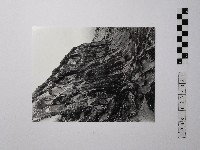 黃則修攝野柳地景藏品圖，第1張