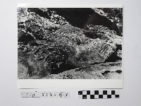 黃則修攝野柳地景藏品圖，第1張