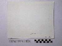 黃則修攝野柳地景藏品圖，第2張