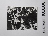 黃則修攝野柳地景藏品圖，第1張